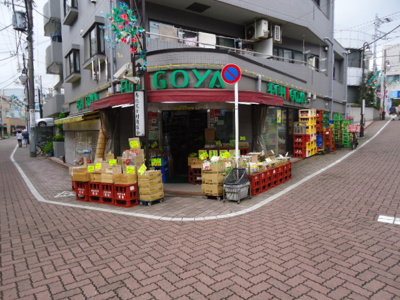 【周辺】 | ブランシエスタ西馬込