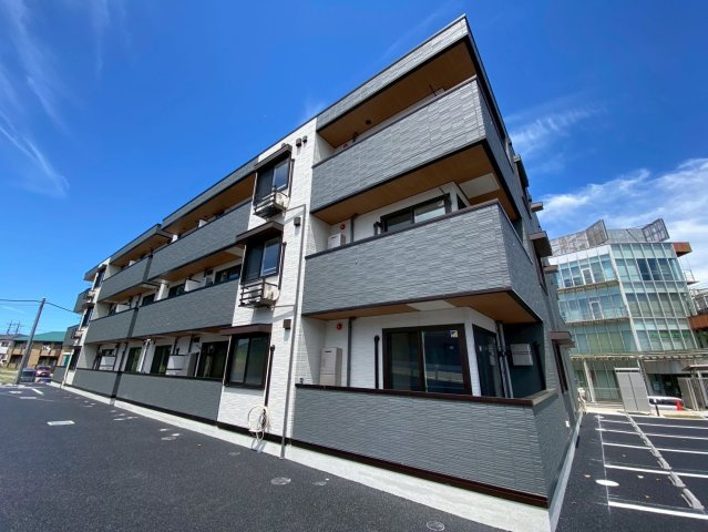 ガーベラ・グレイスの画像