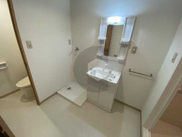 ニードハイツの洗面所