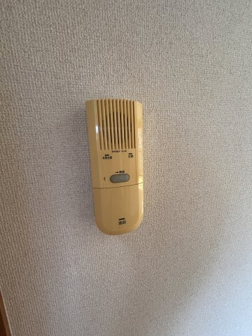 ドエル・シャンビエンのセキュリティ