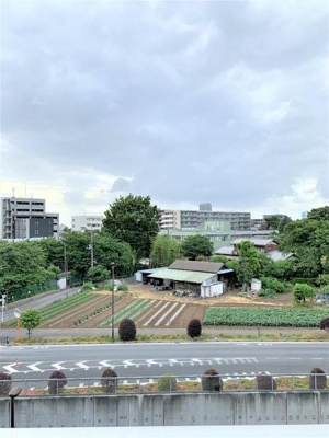 【展望】 | ＧＥＮＯＶＩＡ練馬高野台ｓｋｙｒｕｎ | 周辺には日照を遮るような建物もありません