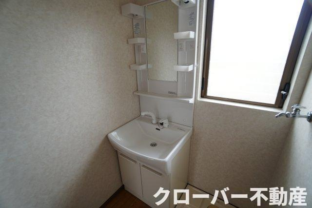 グリーンヒルわかばBの洗面所