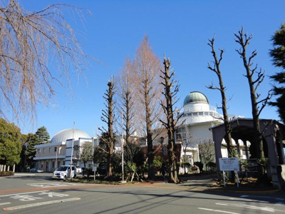 【その他】 | サンハイツ | 川口市青木町公園まで500m