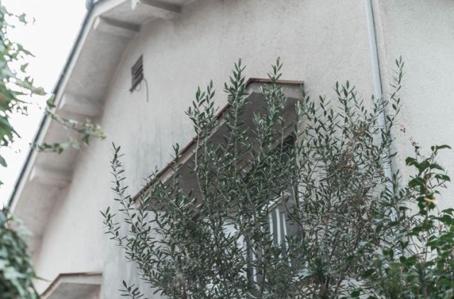 【外観】 | S22109-第三錦林