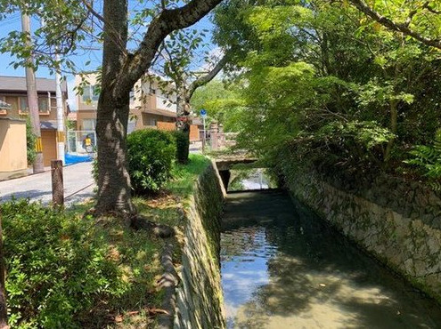 【周辺】 | S22109-第三錦林