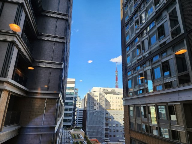 三田ガーデンヒルズ　サウスヒルの展望|東京タワーが見えます！