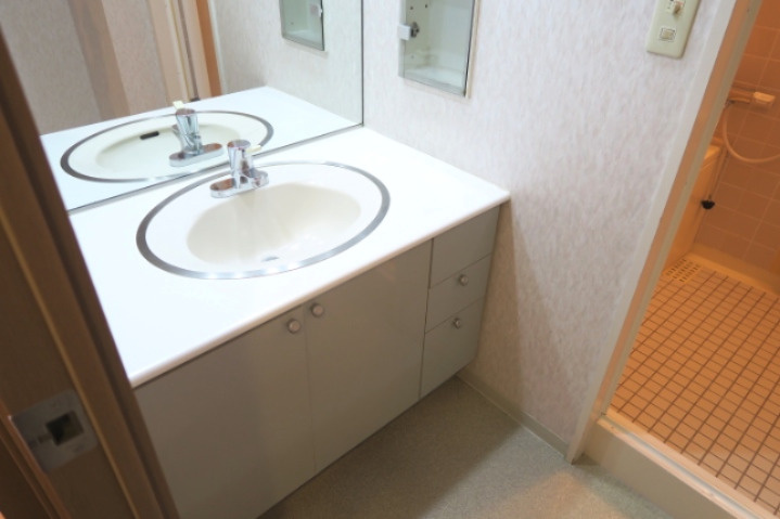 川口幸町パーク・ホームズの独立洗面台|別号室の参考写真です。