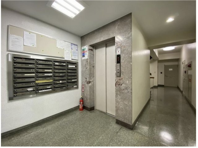 ★仲介手数料無料★清桜ハイツ（ペット飼育可能・事務所利用相談可能　投資用物件としてご検討ください）のその他共用部分