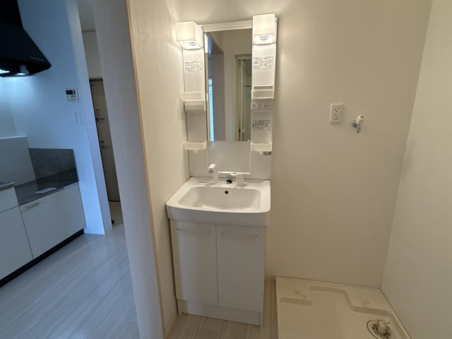 フレシールメゾンＡ棟の洗面所