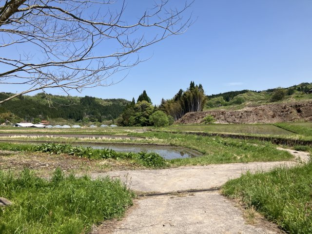 日野郡日南町笠木　中古住宅の展望|田園風景