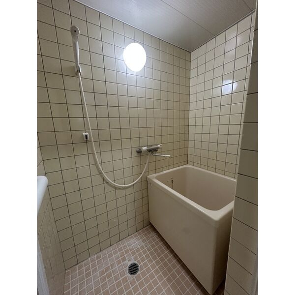 シャトー東洋の浴室