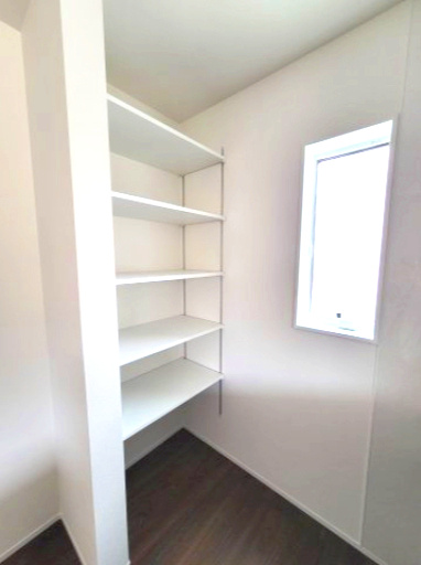 売新築戸建　沼津市東椎路の前面道路含む現地写真|閑静な住宅地に位置しています。車通りが少なく騒音も気にならない穏やかな環境です。