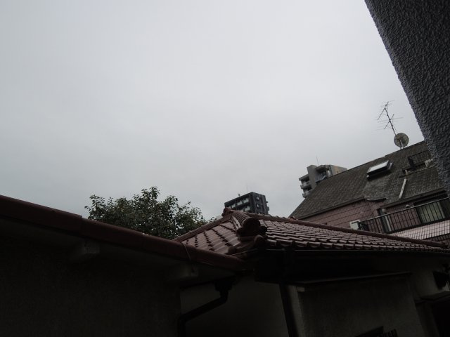 グランドスラム白山の展望