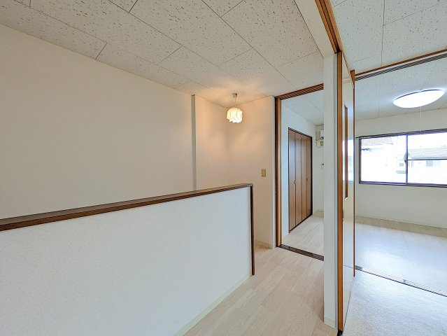 パルシャイン デルタのその他