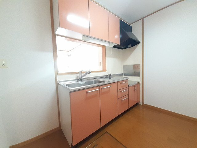 シンヴィオシスＤのキッチン