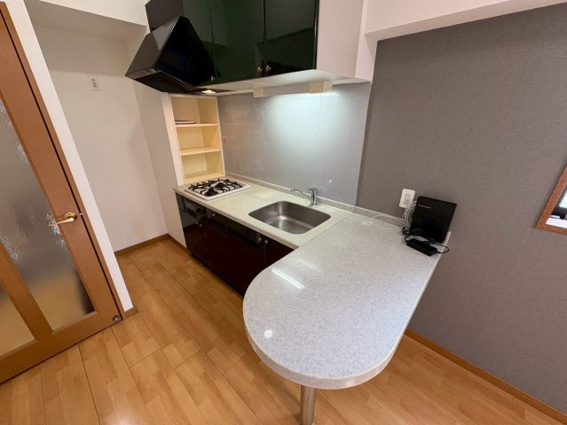 フォルクランド那古野｜名古屋市の賃貸ならMy賃貸のキッチン|フォルクランド那古野