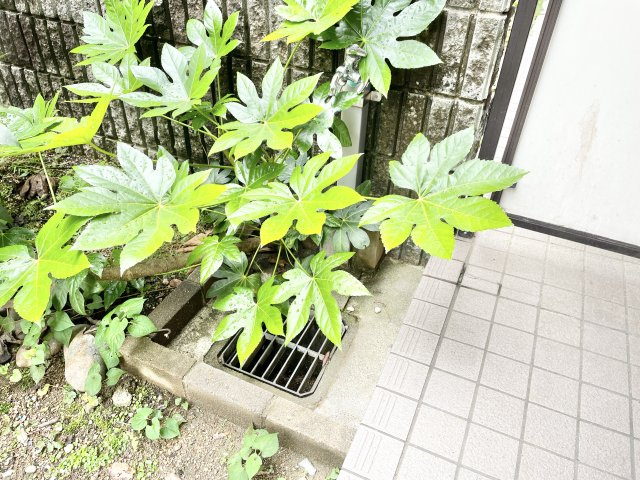 ダイアパレス枚方山田池公園のその他