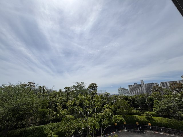 コスモ葛西臨海公園の展望
