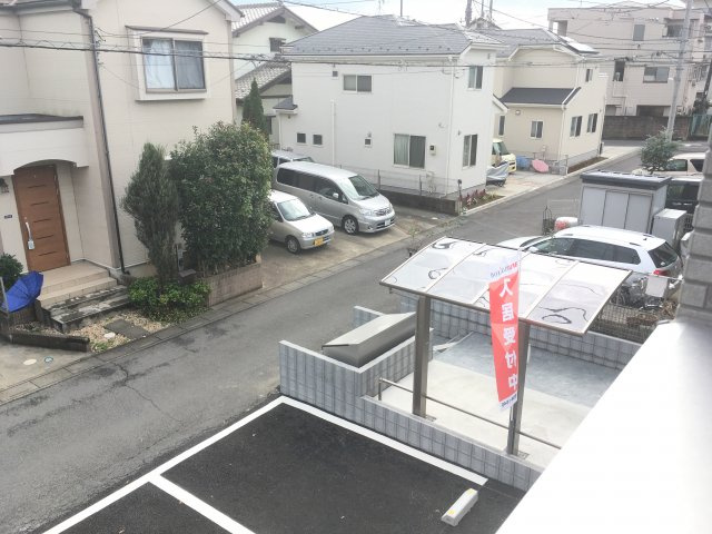アカンサスの展望