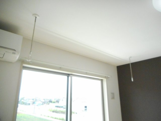 アウローラのその他