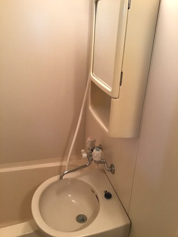 あるゾウパレス本町の洗面所