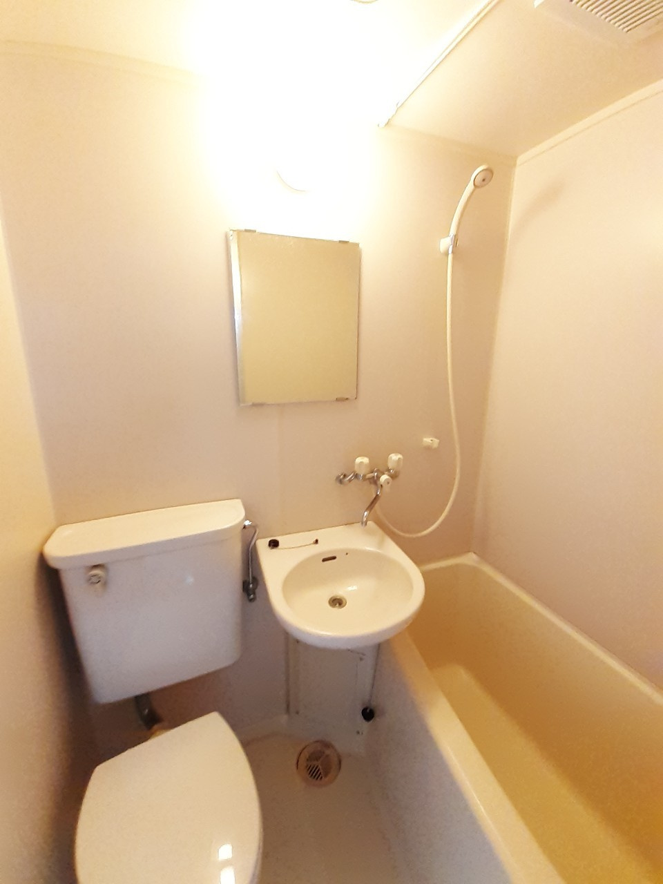 あるゾウパレス神明町の洗面所