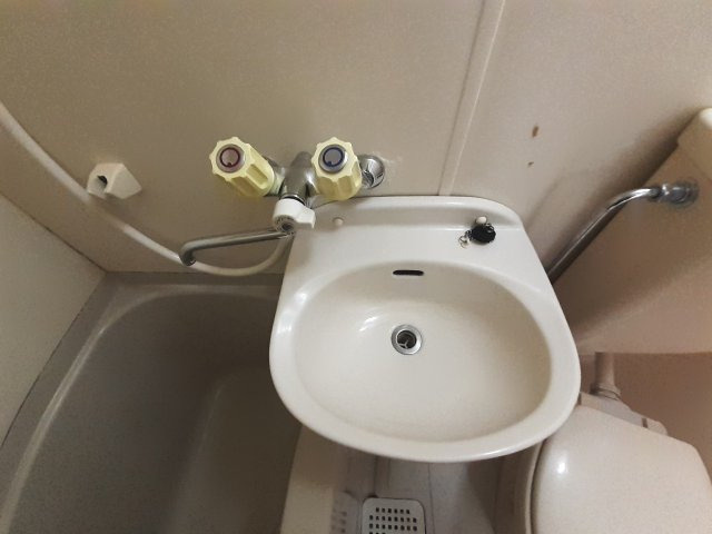 あるゾウパレス溝端町の洗面所