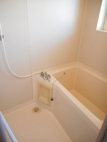 あるゾウパレス元宿の浴室