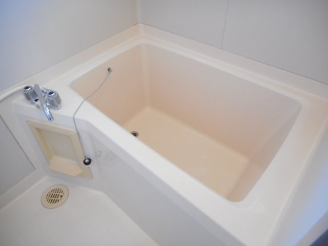 あるゾウパレス元宿の浴室