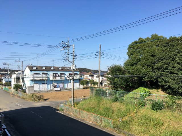 イベリスの展望