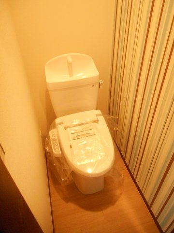 アルメゾン鳩山小用のトイレ