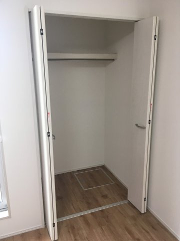 カンパニュラの収納