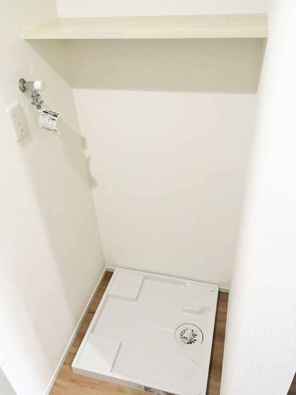 カンパニュラのその他