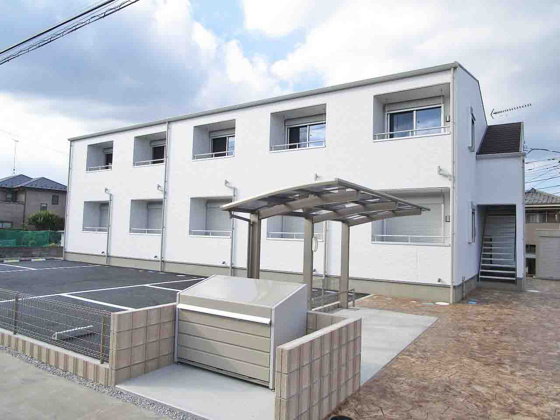 カンパニュラの画像