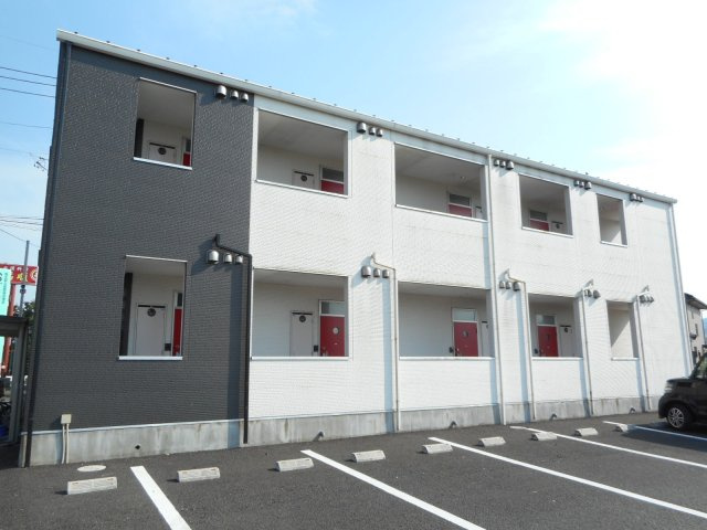 ステラ