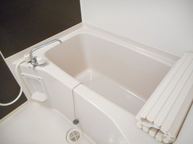 ネクサスの浴室