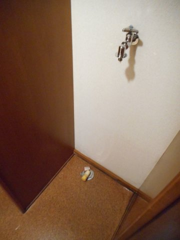 ニュートンのその他