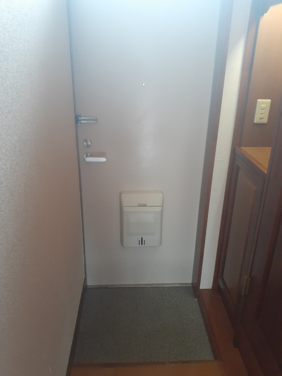 トムソンのその他