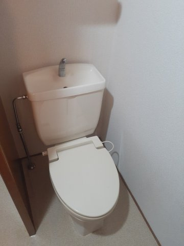 トムソンのトイレ