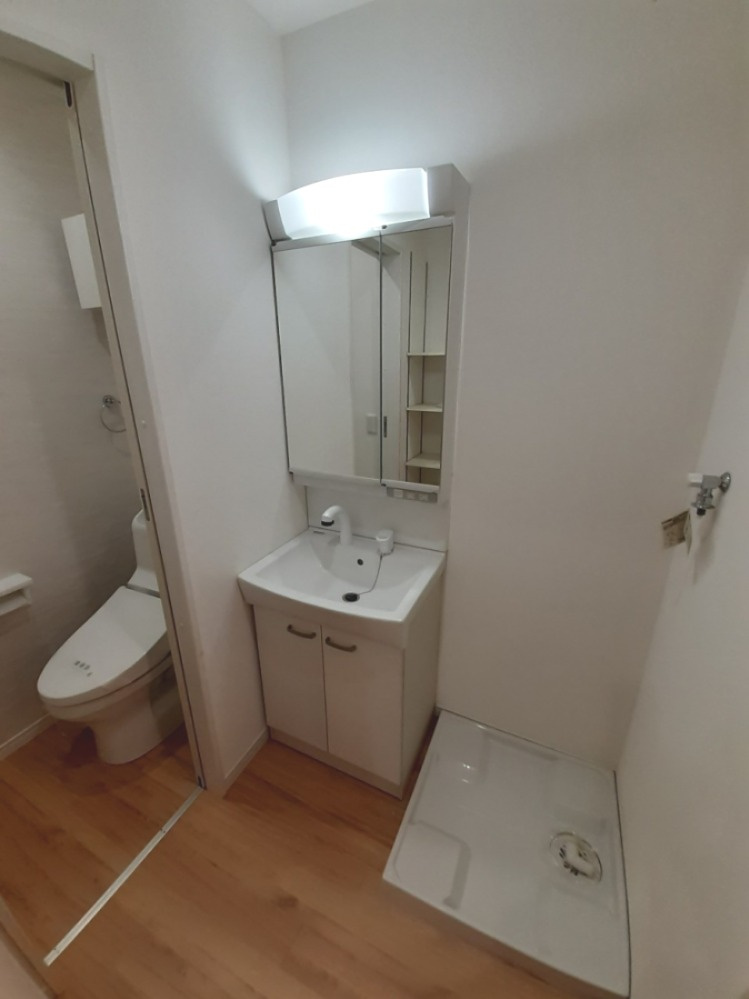 フォーレの洗面所