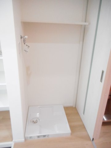 パディーⅠのその他