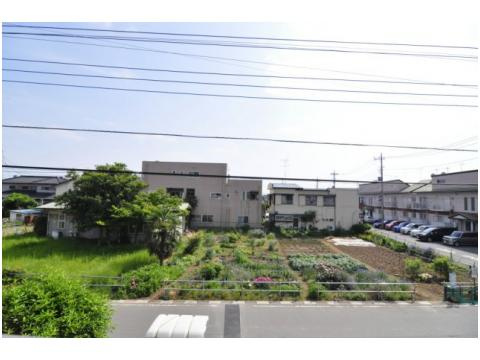 ホワイトマーベルの展望