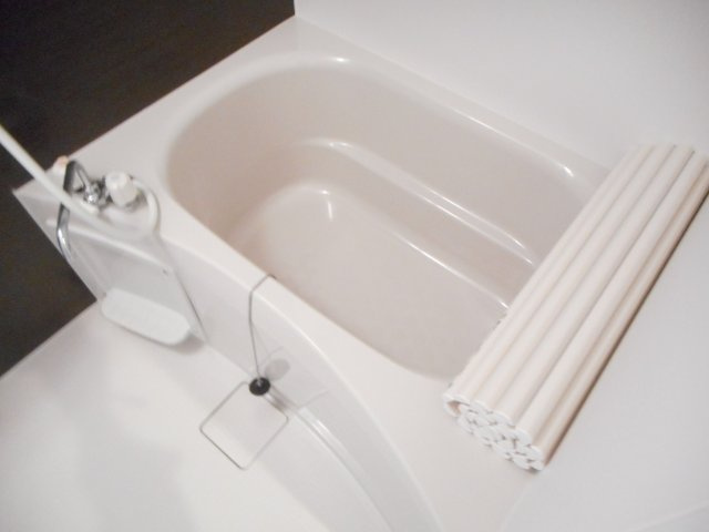 坂戸伊豆の山ハウスの浴室