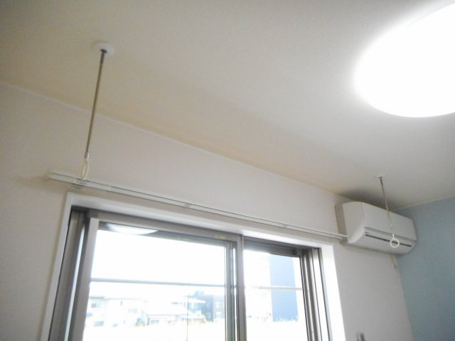 ライスフェルトのその他