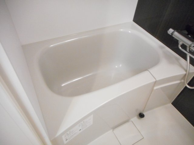 ライスフェルトの浴室