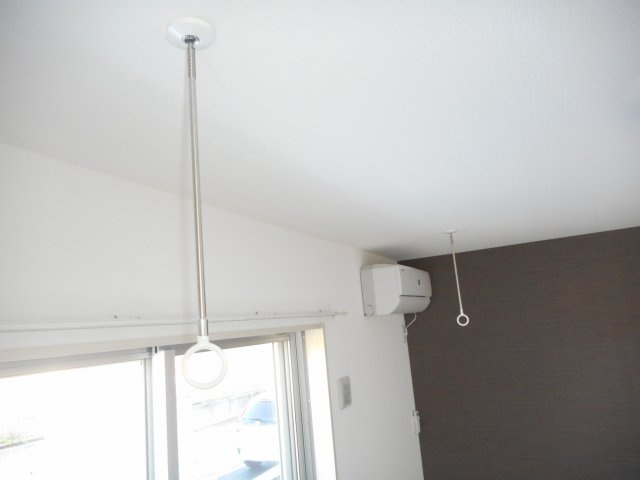 マリポーサのその他