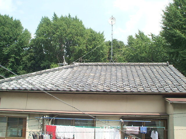 メゾン奈良の展望|閑静な住宅地♪新宿御苑見えます♪