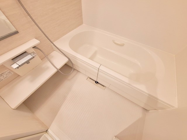 メゾン アルカディアの浴室
