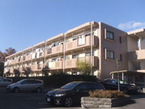 サンツヤマモトAの画像