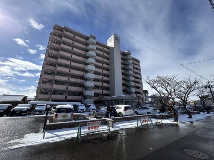 シャトレ愛松一宮７の外観